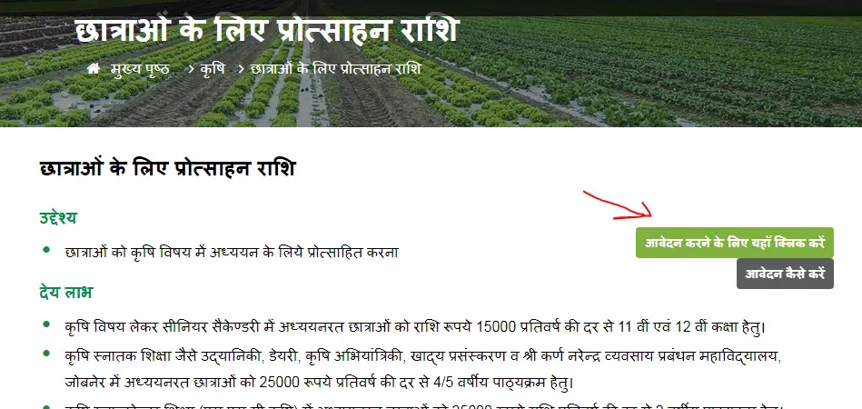 Agricultural Education Students Scholarship