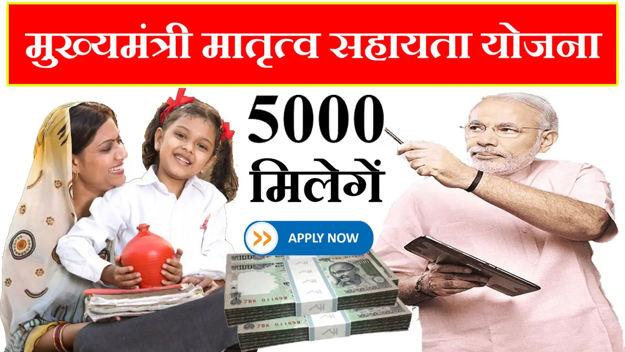 हरियाणा मुख्यमंत्री मातृत्व सहायता योजना 2025 ऑनलाइन आवेदन, पात्रता व दस्तावेज जानें - Mukhyamantri Matritva Sahayata Yojana Haryana
