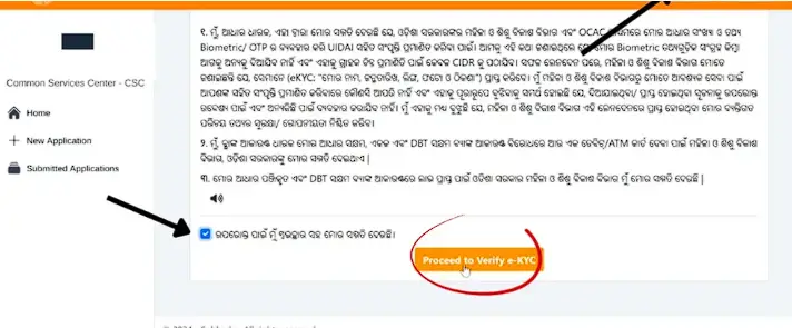 Odisha Subhadra Yojana
