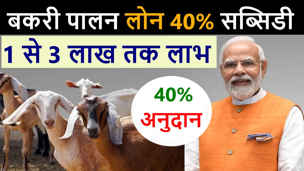 बकरी पालन लोन योजना 2025 - Bakari Palan Loan Yojana Online Apply
